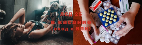 героин Богданович