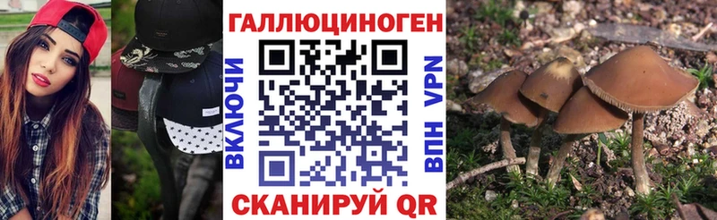 Псилоцибиновые грибы Psilocybine cubensis  блэк спрут tor  Балашов 
