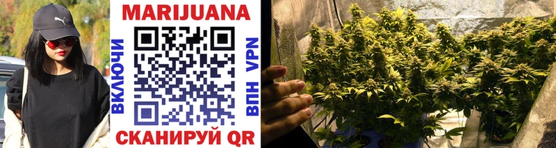 Бошки марихуана White Widow  даркнет сайт  Балашов 